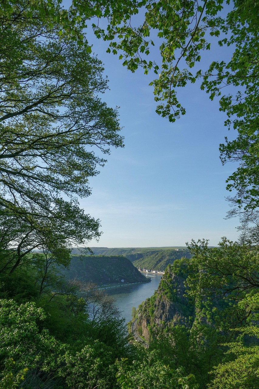 loreley views, maria ruh, arable, sankt goar, nature, tree, landscape, wood, waters, rhine, spring, summer, excursion, vacations, romance, recreation, travel